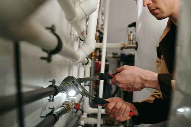 Best Shower Repair Services  in Olivia, MN