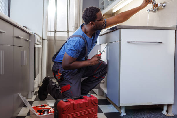Best Plumbing Installation Services  in Olivia, MN