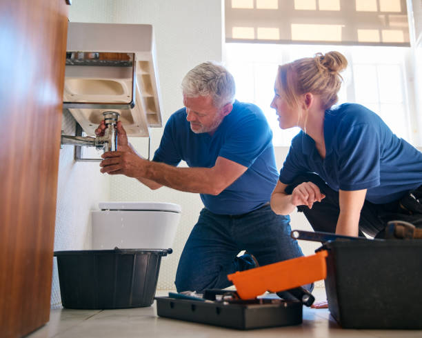 Best Local Plumber Services  in Olivia, MN
